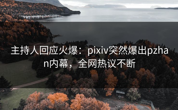主持人回应火爆：pixiv突然爆出pzhan内幕，全网热议不断