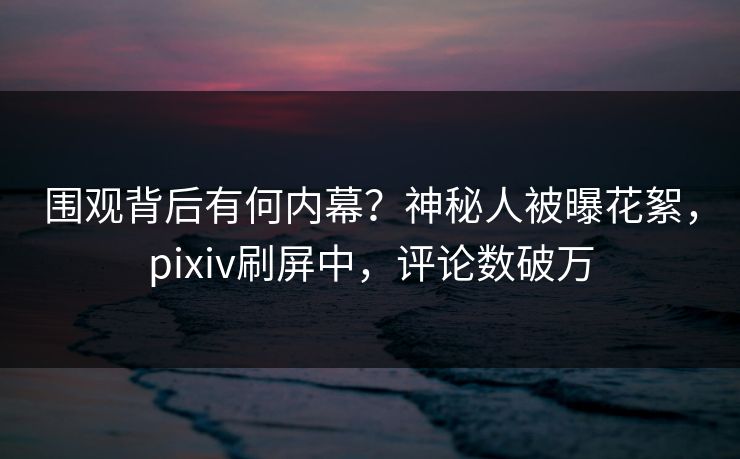 围观背后有何内幕？神秘人被曝花絮，pixiv刷屏中，评论数破万