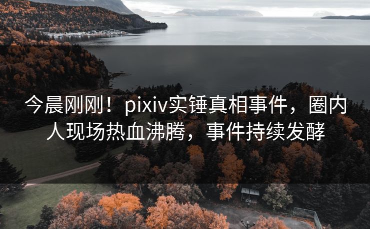 今晨刚刚！pixiv实锤真相事件，圈内人现场热血沸腾，事件持续发酵