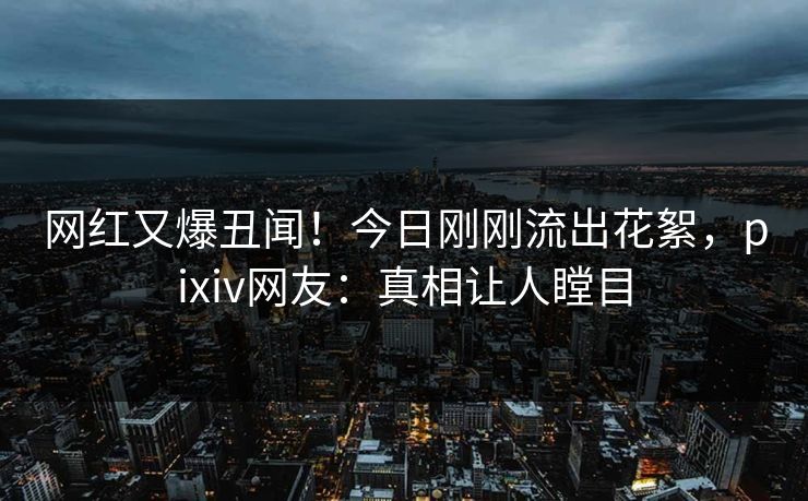 网红又爆丑闻！今日刚刚流出花絮，pixiv网友：真相让人瞠目
