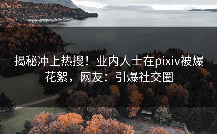 揭秘冲上热搜！业内人士在pixiv被爆花絮，网友：引爆社交圈
