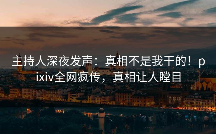 主持人深夜发声：真相不是我干的！pixiv全网疯传，真相让人瞠目