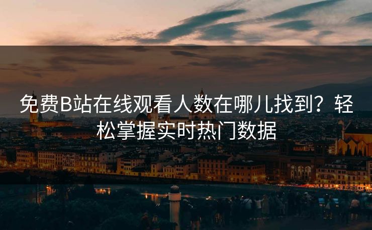 免费B站在线观看人数在哪儿找到？轻松掌握实时热门数据