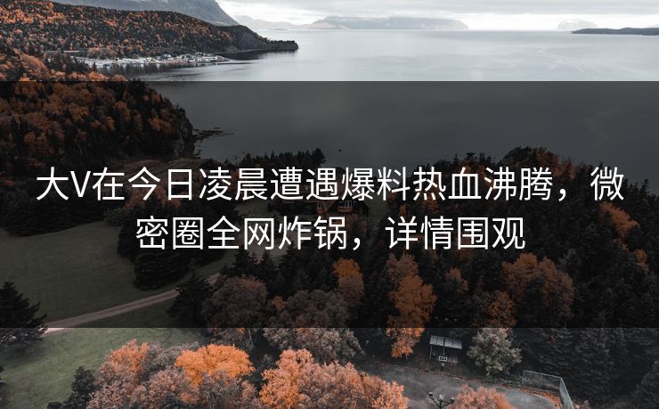 大V在今日凌晨遭遇爆料热血沸腾，微密圈全网炸锅，详情围观