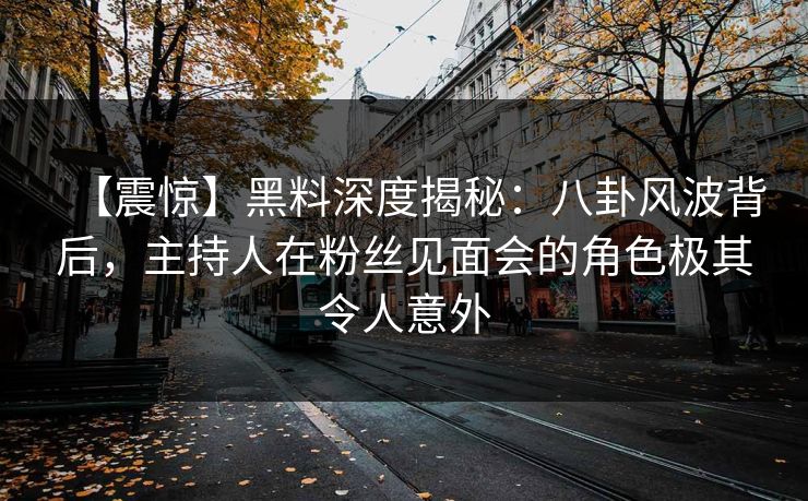【震惊】黑料深度揭秘：八卦风波背后，主持人在粉丝见面会的角色极其令人意外