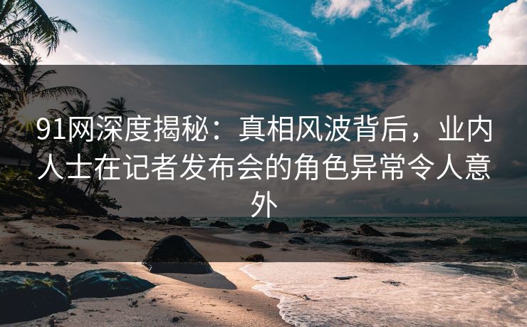 91网深度揭秘：真相风波背后，业内人士在记者发布会的角色异常令人意外