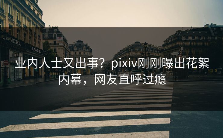 业内人士又出事？pixiv刚刚曝出花絮内幕，网友直呼过瘾