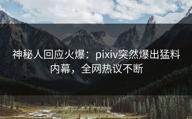 神秘人回应火爆：pixiv突然爆出猛料内幕，全网热议不断