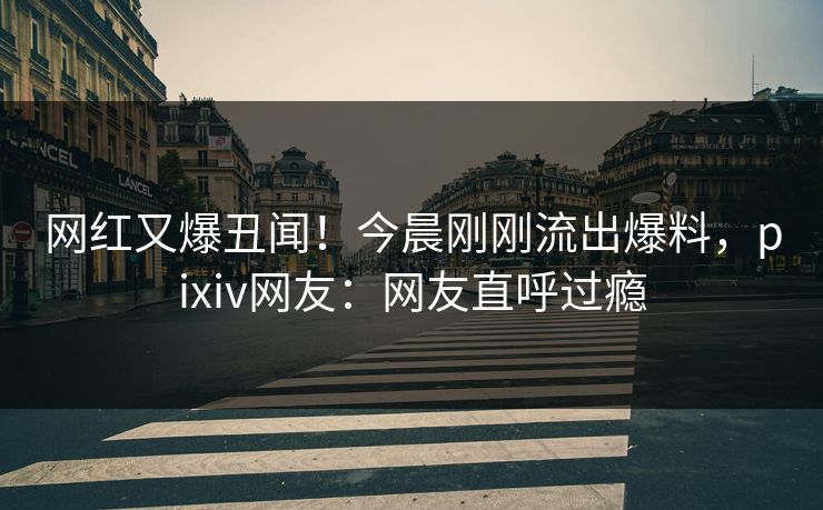 网红又爆丑闻！今晨刚刚流出爆料，pixiv网友：网友直呼过瘾