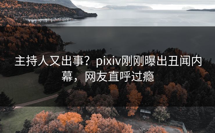 主持人又出事？pixiv刚刚曝出丑闻内幕，网友直呼过瘾