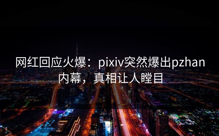 网红回应火爆：pixiv突然爆出pzhan内幕，真相让人瞠目