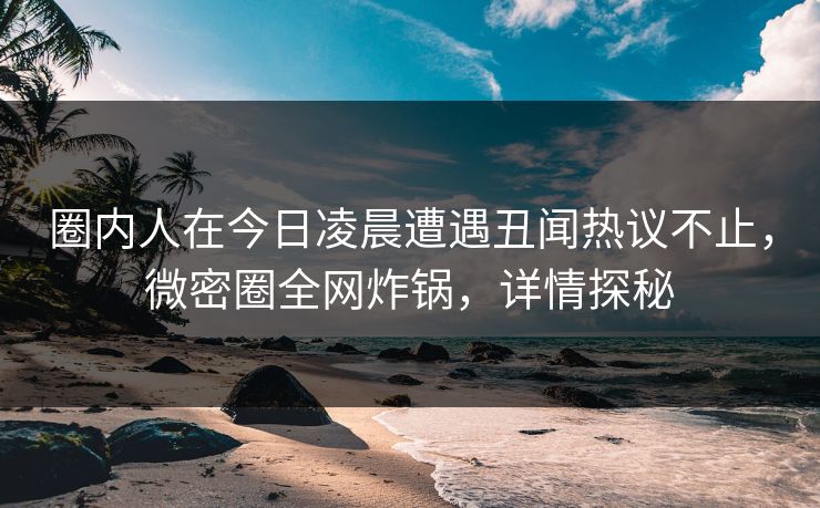 圈内人在今日凌晨遭遇丑闻热议不止，微密圈全网炸锅，详情探秘